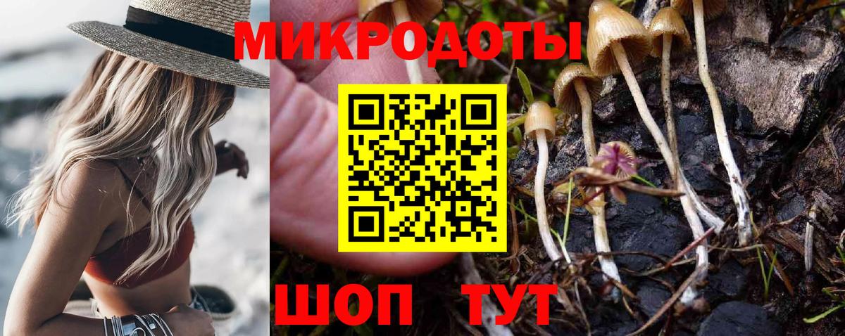 купить   Вход с VPN  Зима  Псилоцибиновые грибы ЛСД 